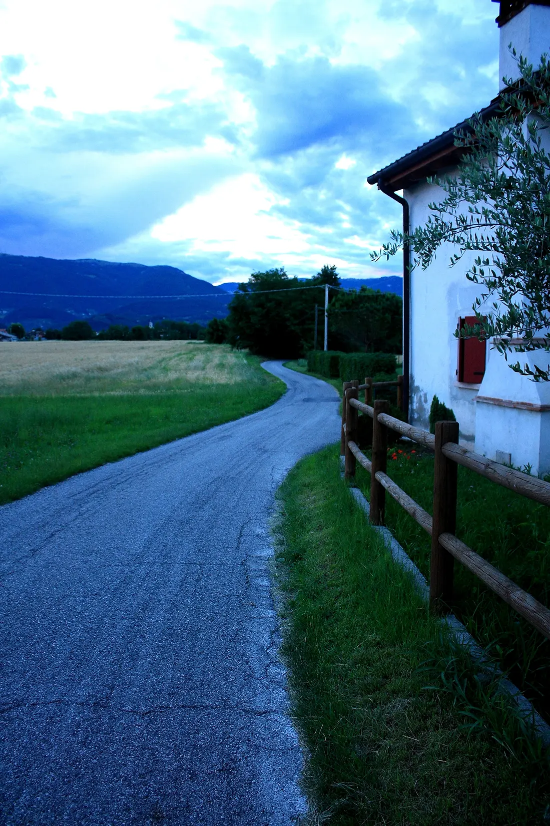 Foto Autore Francesca Fabris - Bassano Fotografia
