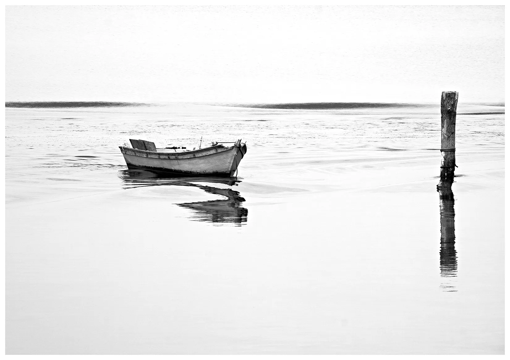 Foto Autore Fotoricerca Valdagno - Bassano Fotografia