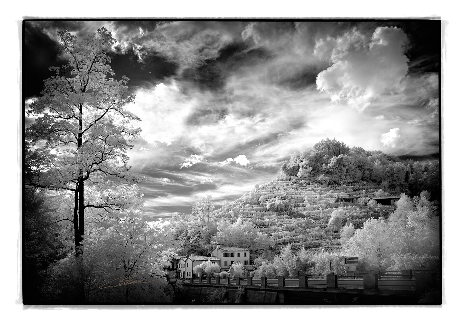 Foto Autore Claudio Schincariol - Bassano Fotografia