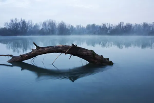 Foto Autore Gruppo Immagine Centrale - Bassano Fotografia