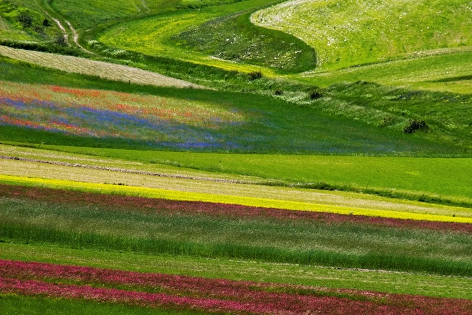 Foto Autore Chiara Didonè - Bassano Fotografia