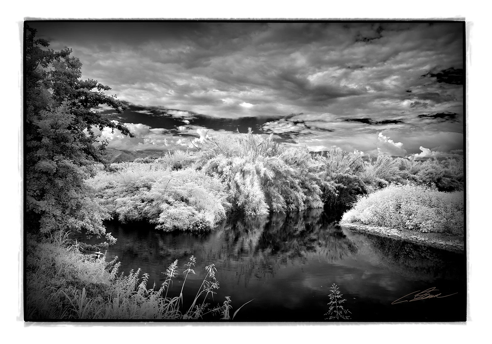 Foto Autore Claudio Schincariol - Bassano Fotografia