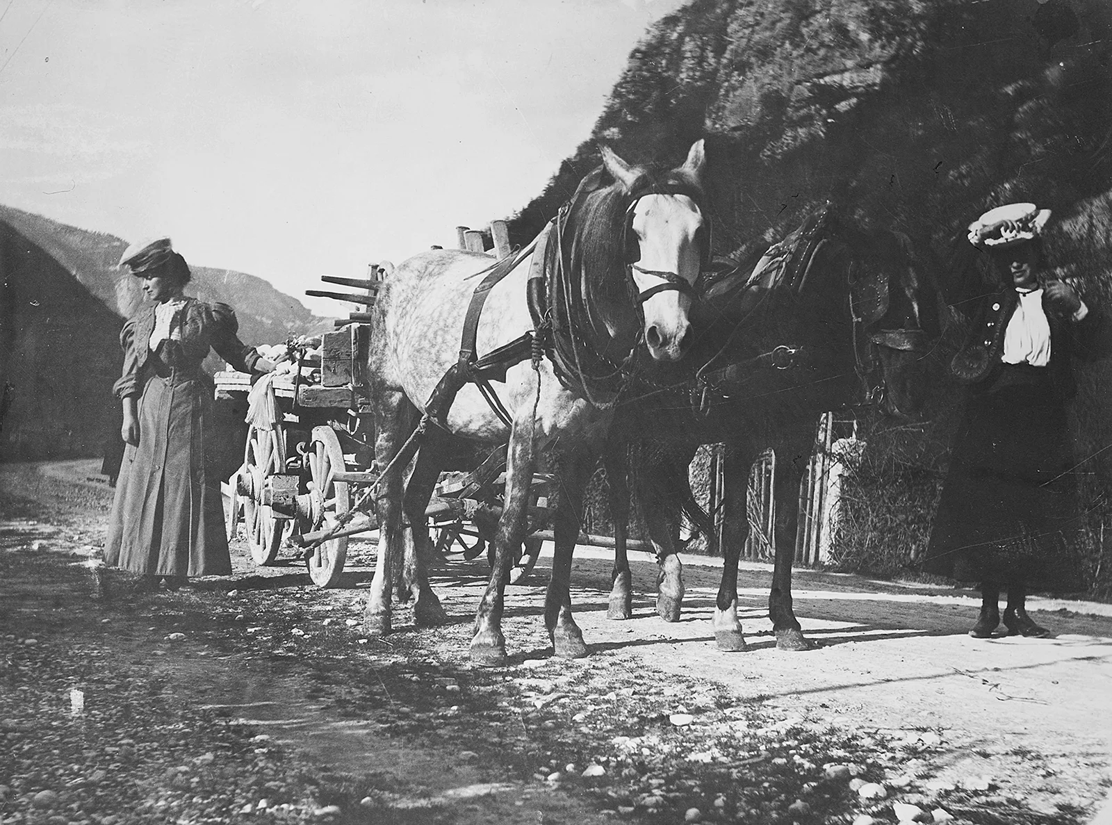 Foto Autore Circolo Fotogafico El Paveion - Bassano Fotografia Foto Autore Circolo Fotogafico El Paveion - Bassano Fotografia