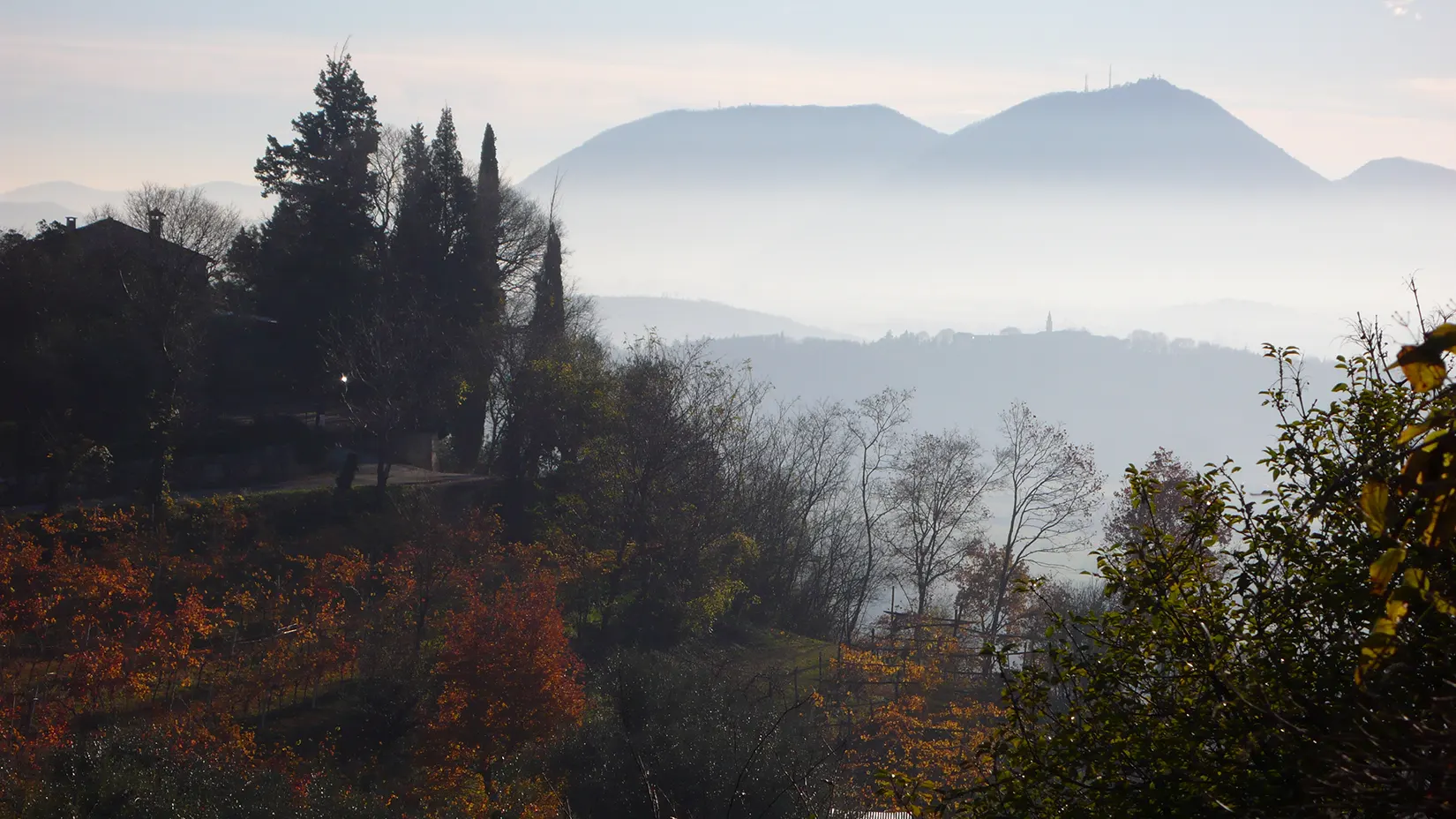 Foto Autore Fotoclub Il Punto Focale - Bassano Fotografia Foto Autore Fotoclub Il Punto Focale - Bassano Fotografia