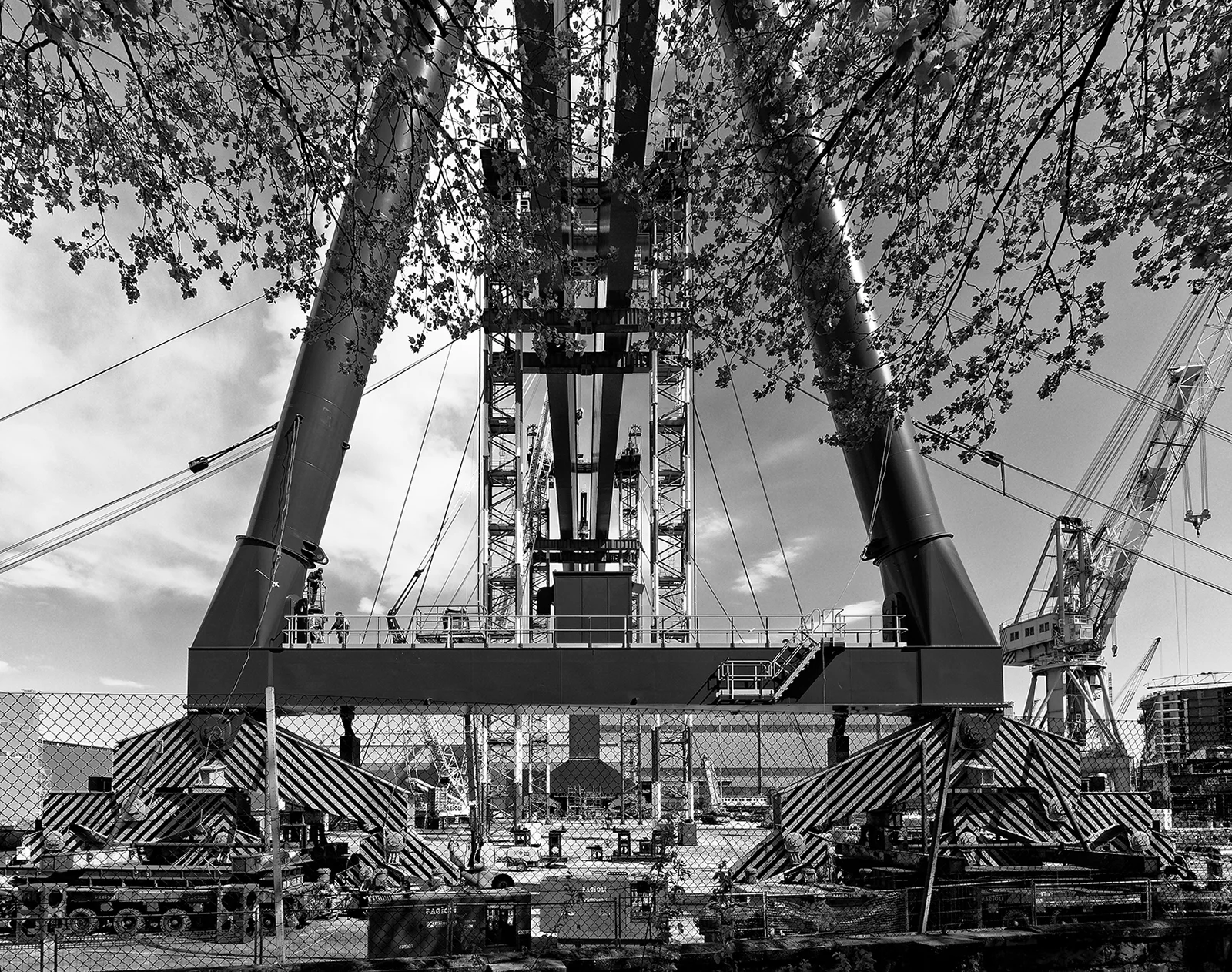 Foto Autore A.C.F. La Tangenziale - Bassano Fotografia Foto Autore A.C.F. La Tangenziale - Bassano Fotografia