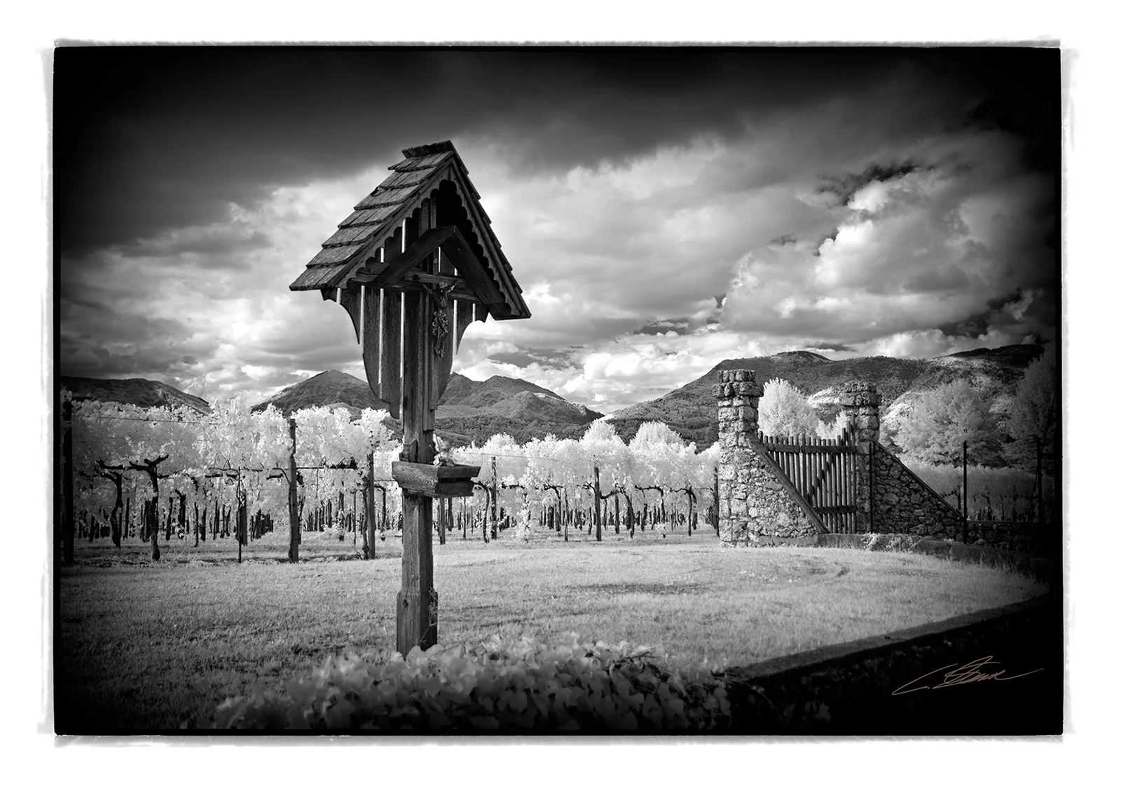 Foto Autore Claudio Schincariol - Bassano Fotografia