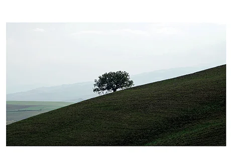 Catalogo Autore Letizia Bressan - Bassano Fotografia