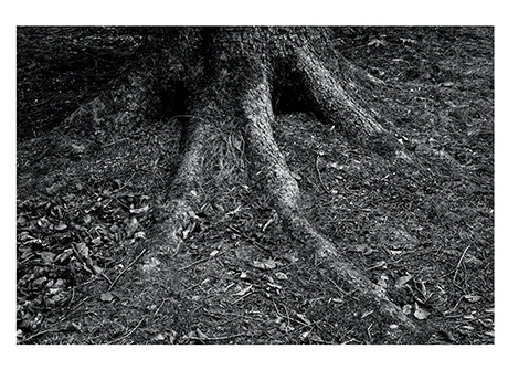 Catalogo Maria Novello Fuori Palazzo 2023 Bassano Del Grappa - Bassano Fotografia