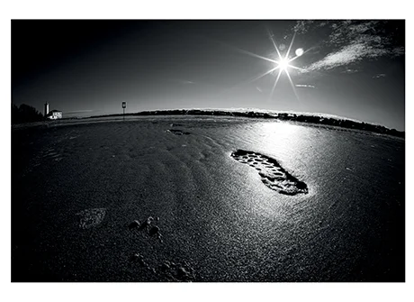 Catalogo Autore Gabriele Luchetti - Bassano Fotografia